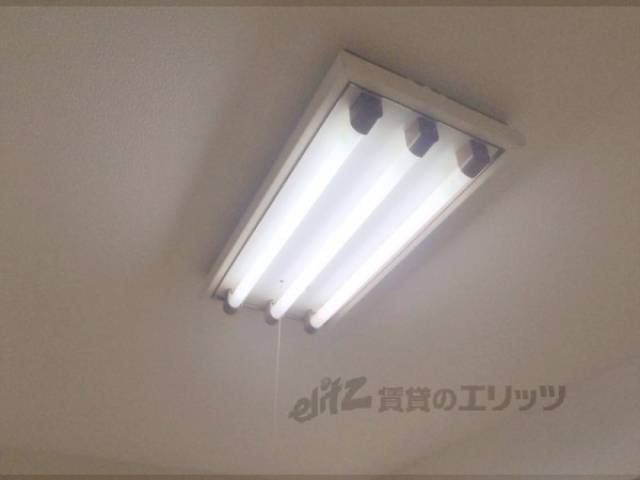 照明