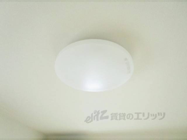 照明