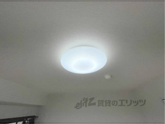 照明