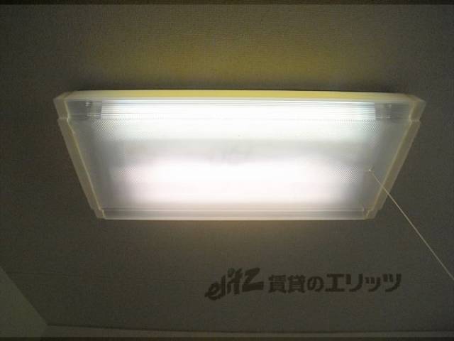 照明