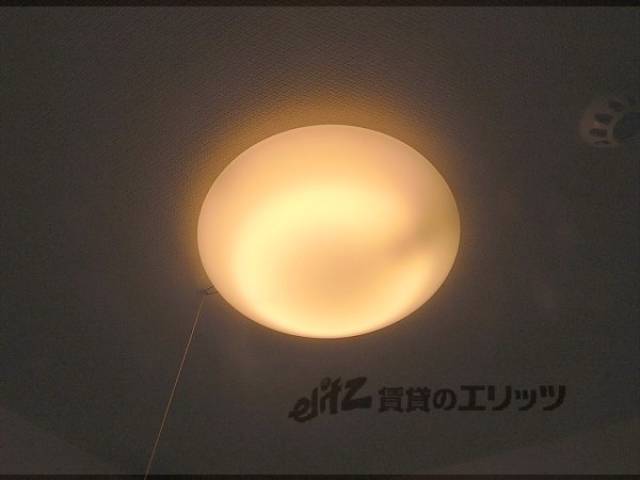 照明