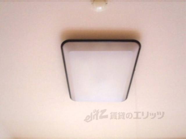 照明