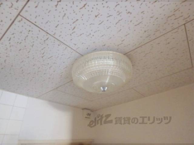 照明