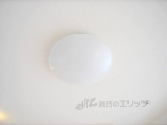 照明