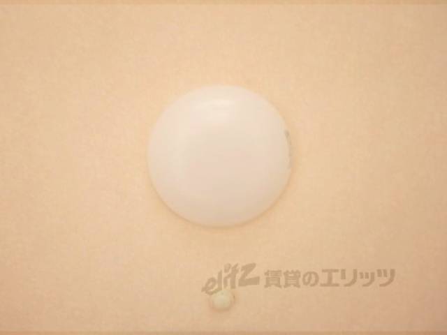 照明