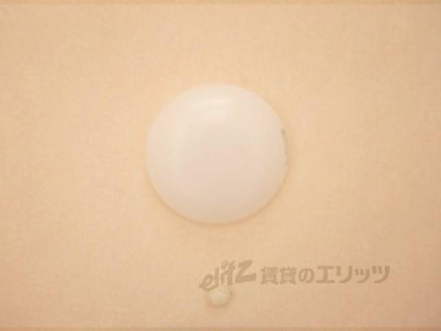 照明