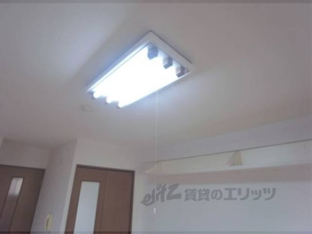 照明