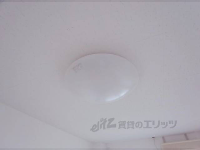 照明