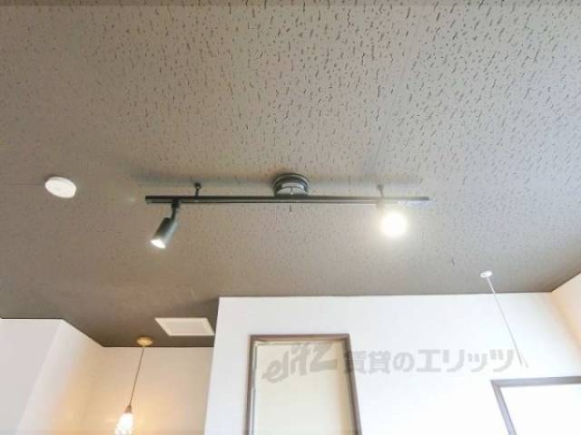 照明