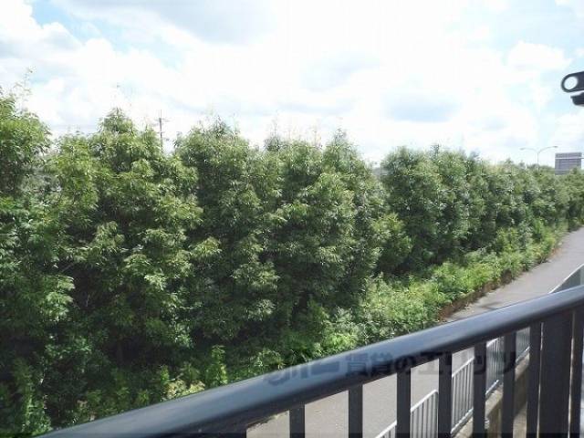 窓からの景色