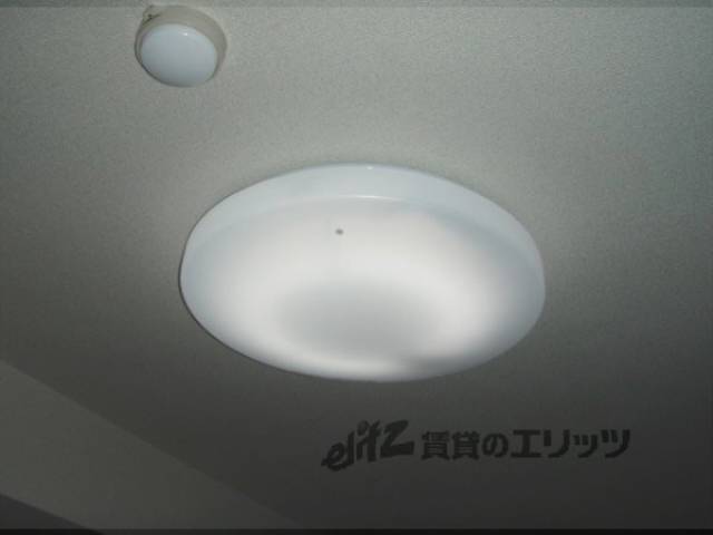 照明