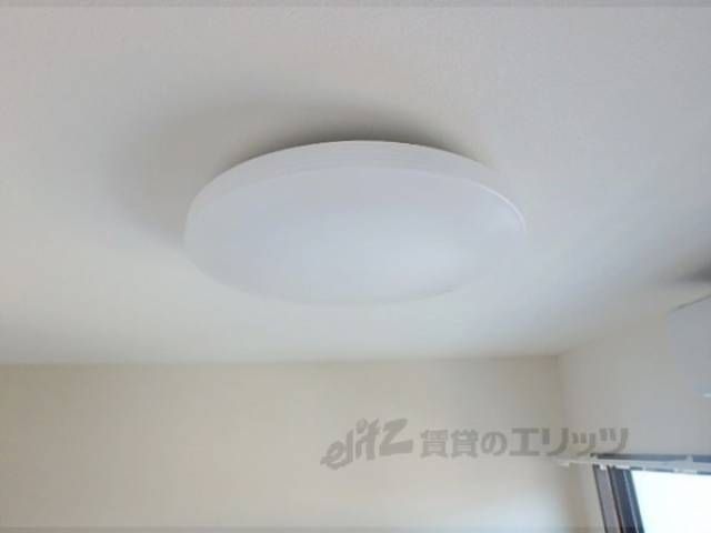 照明