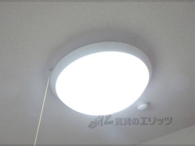 照明