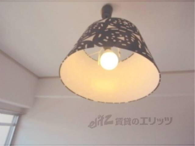 照明