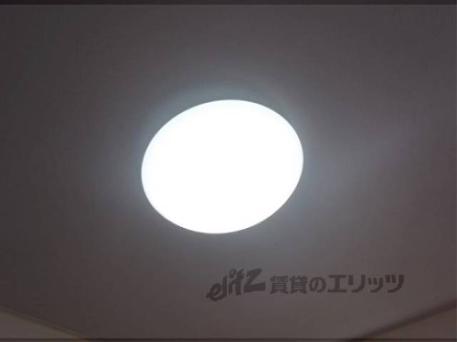 照明