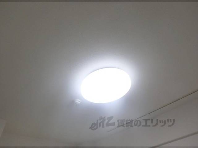 証明