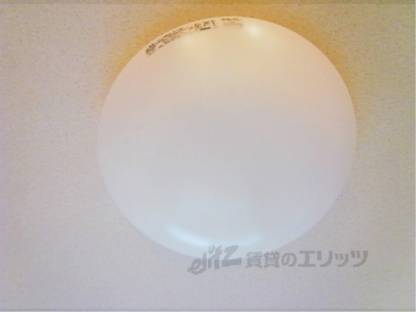 照明