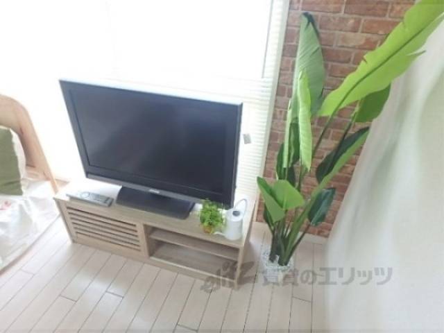 テレビ