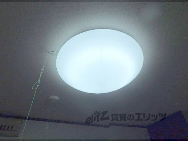 照明