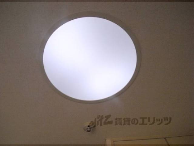 照明