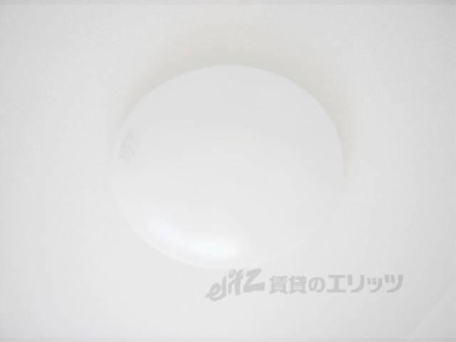 照明