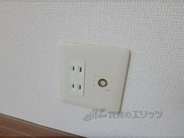 テレビ線