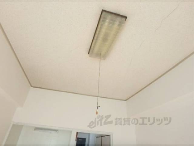 照明