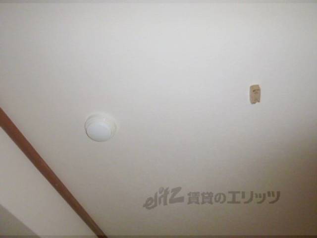 照明コンセント