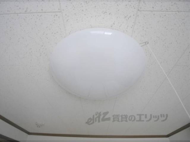照明