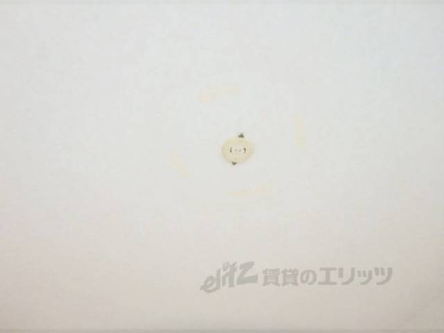 照明