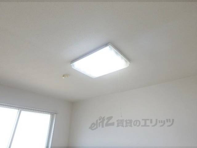 照明
