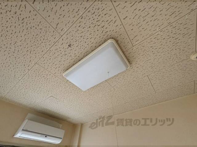 照明