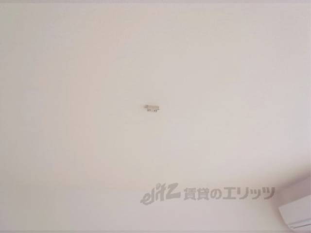 ソケット　照明が付けられます。