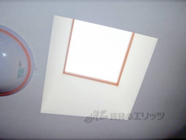 天窓