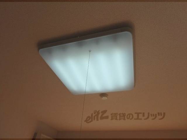 照明