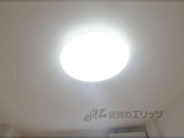 照明