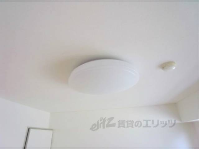 電球