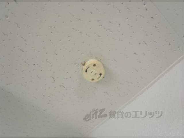 照明