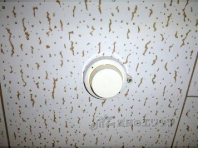 電気ソケット