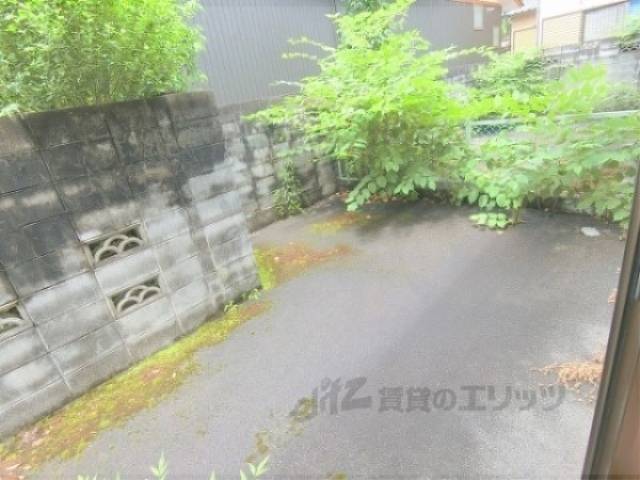庭