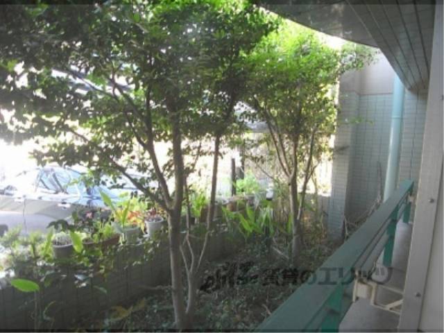 植栽