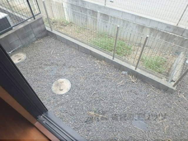 庭