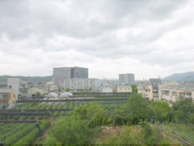 バルコニーからの眺望