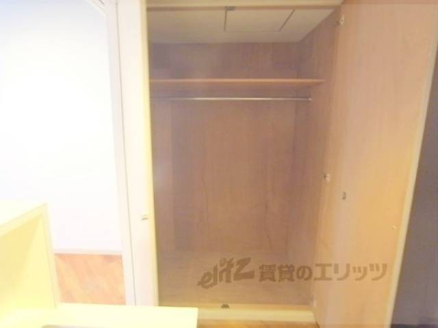 収納　クローゼットタイプ