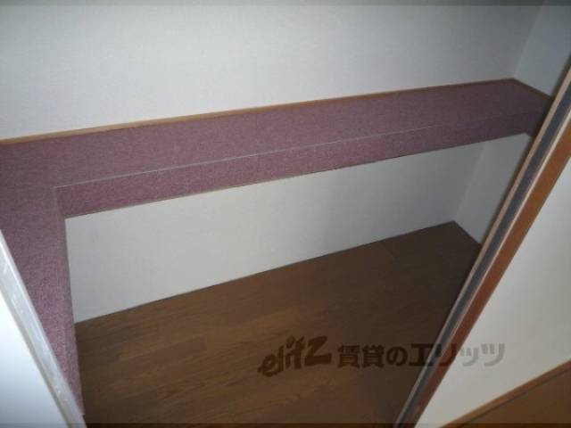 居室押入れ　特徴的な押入れですよ