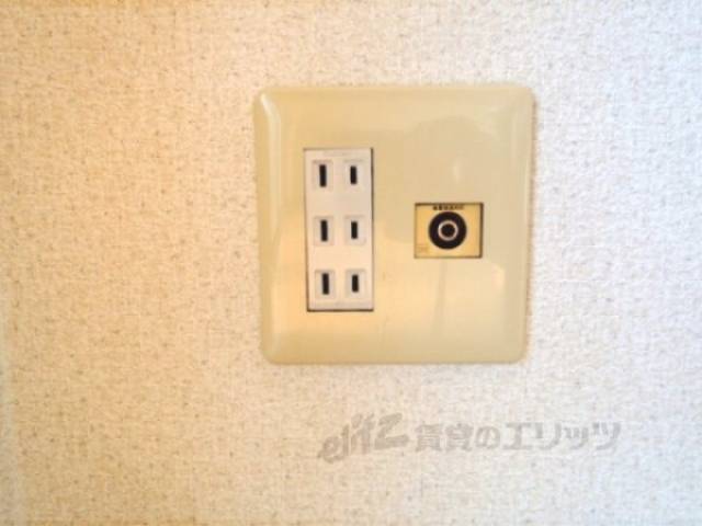 テレビ線