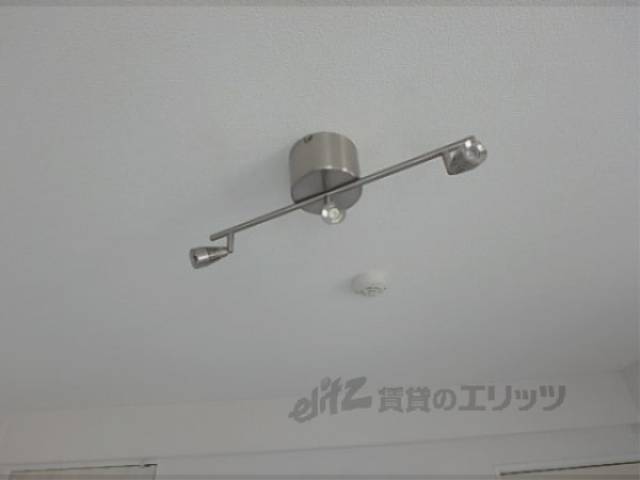 照明　照明