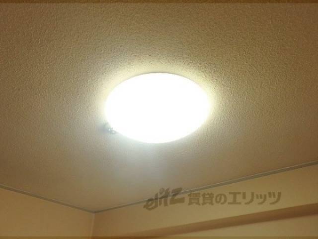 照明