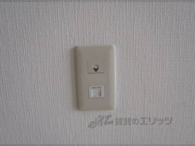 ネット・電話線