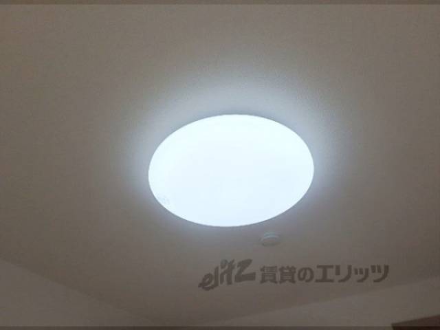 照明